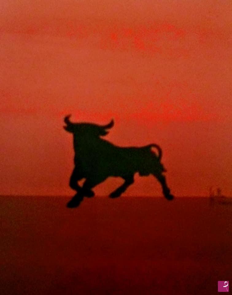quadri in vendita online - Taurus