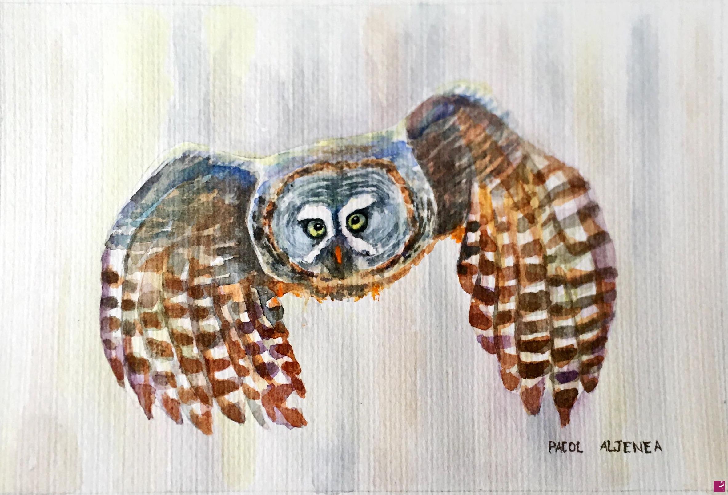 quadri in vendita online - Tawny owl