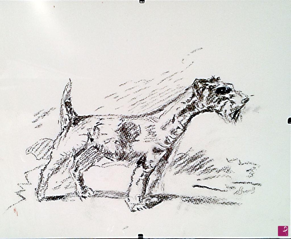 quadri in vendita online - terrier a pelo lungo