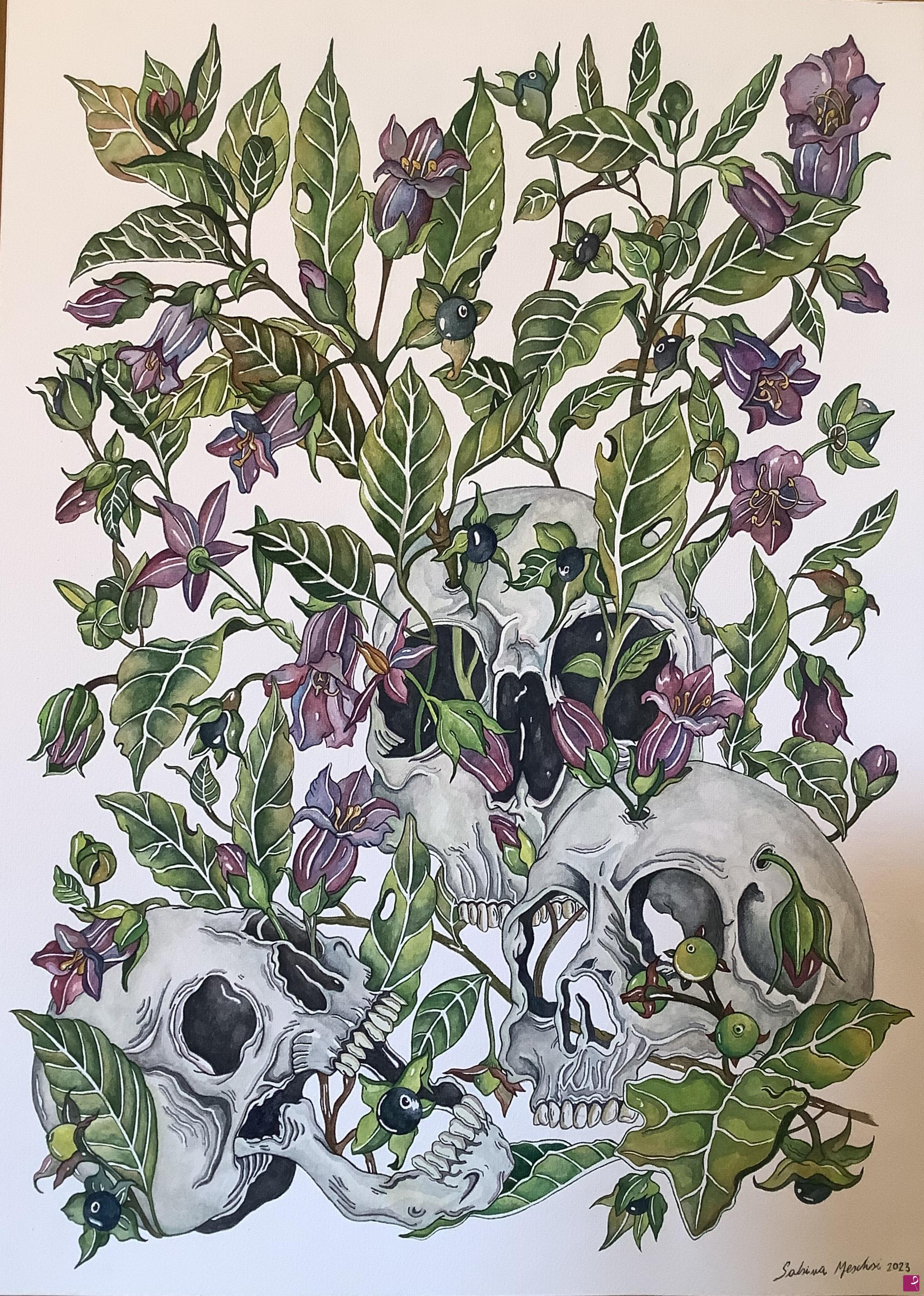 quadri in vendita online - Teschi con atropa Belladonna 