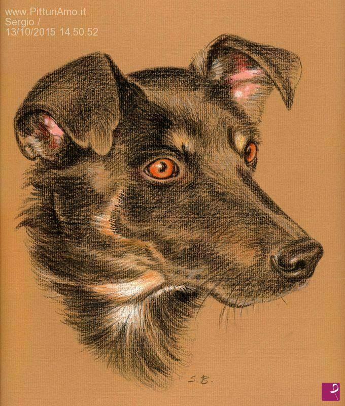 quadri in vendita online - Testa di cane