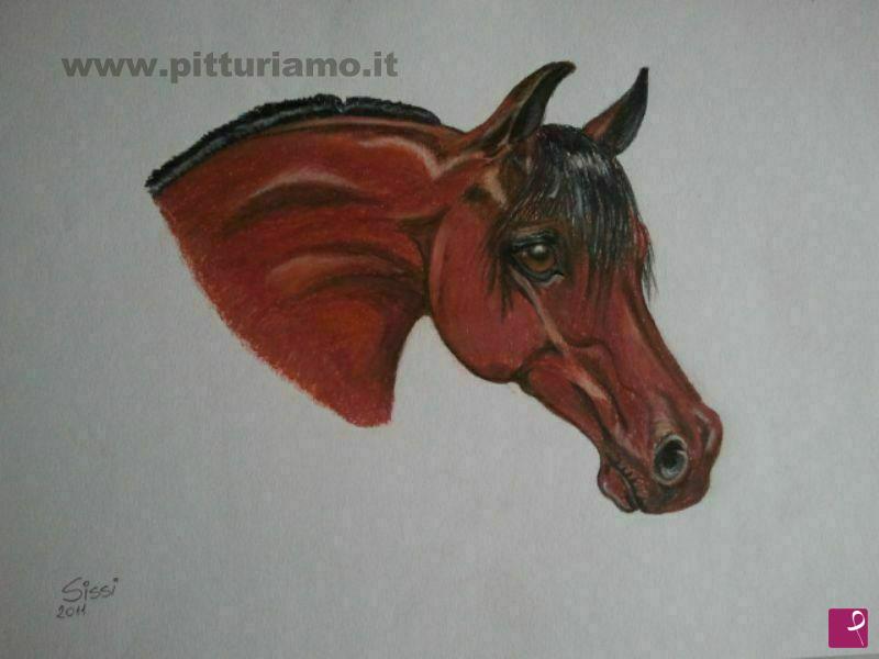 quadri in vendita online - testa di cavallo