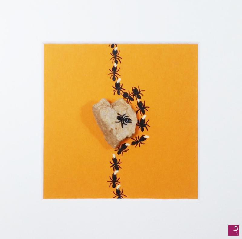 quadri in vendita online - The ant rock