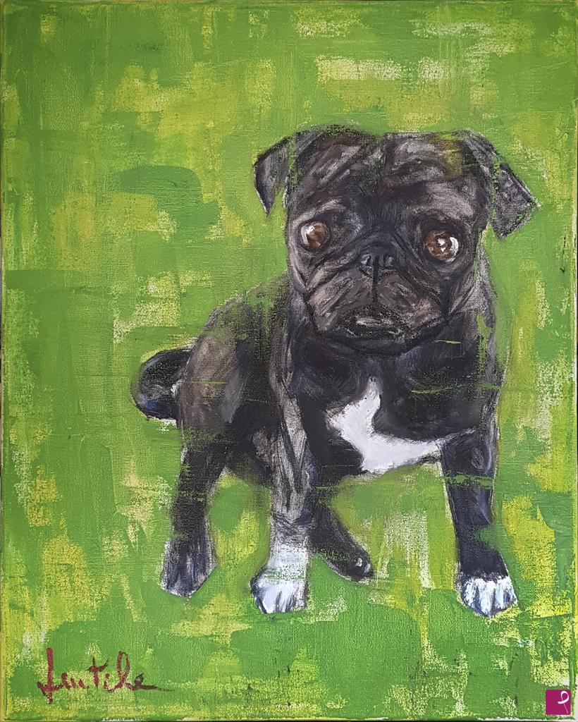 quadri in vendita online - the funny pug