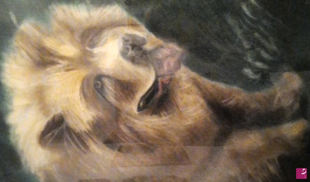 quadri in vendita online - The Lion Dog