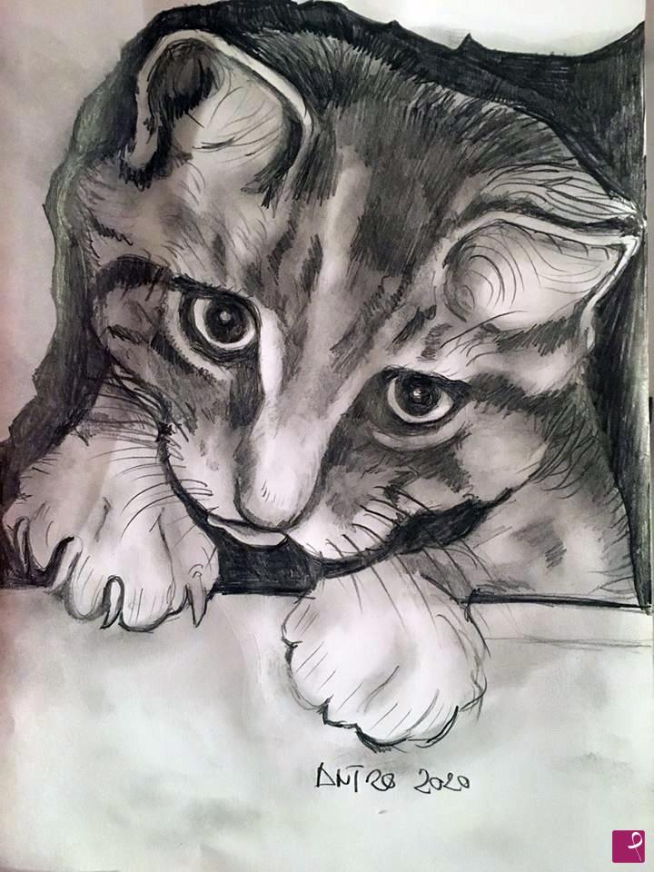 quadri in vendita online - The little cat