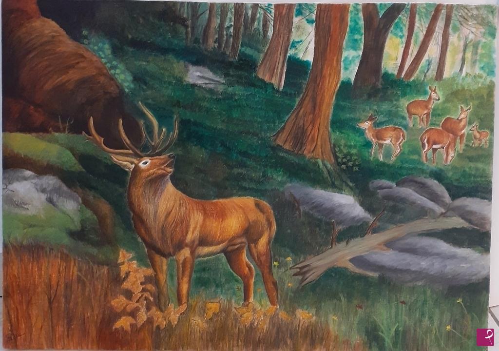 quadri in vendita online - The magic of the forest