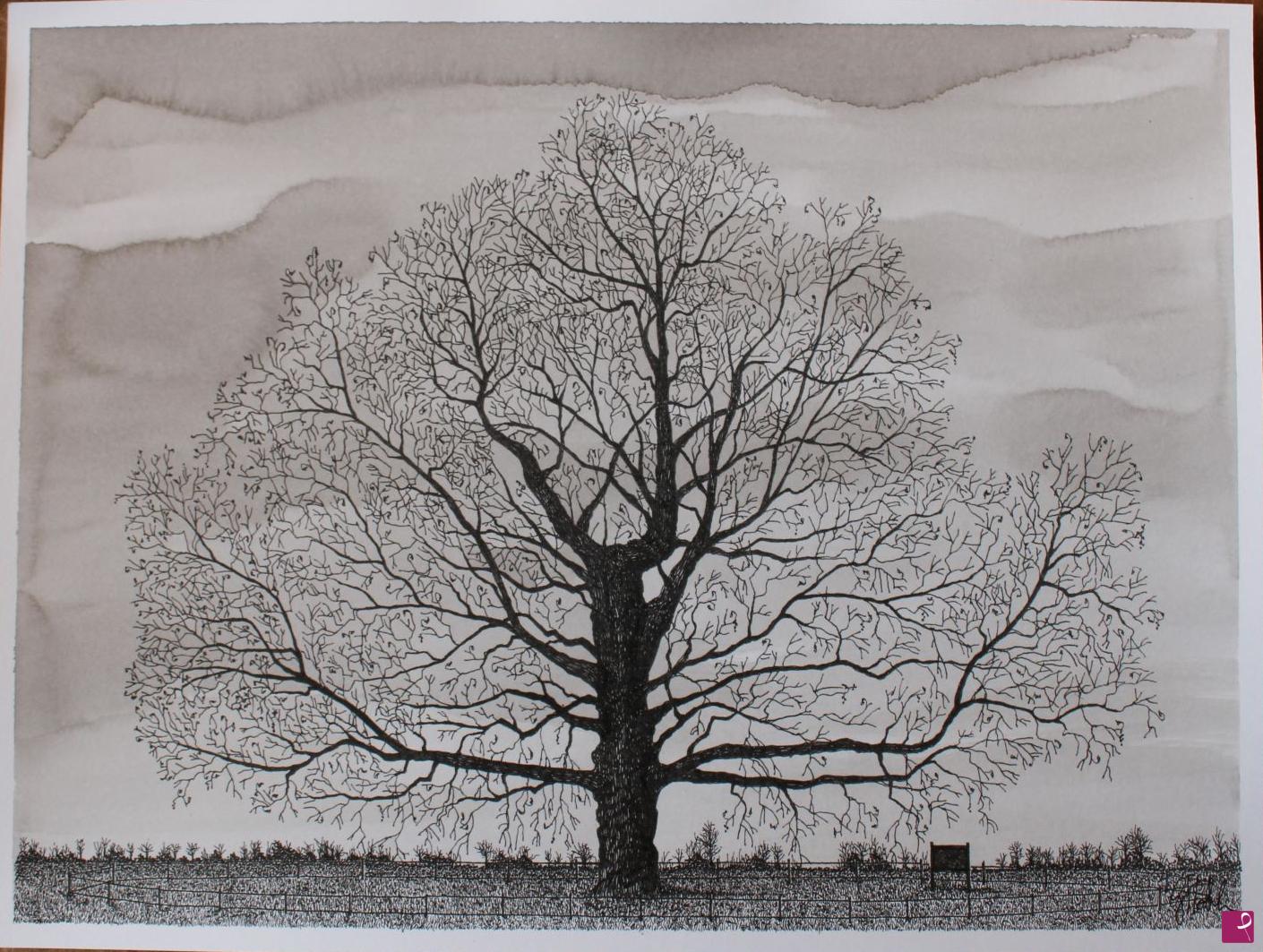 quadri in vendita online - The monumental plane tree (Platanus orientalis) of Carpinello (Forlì)
