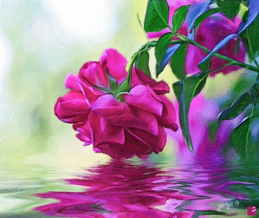 quadri in vendita online - the rose water