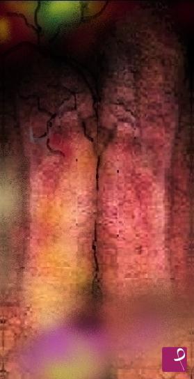 quadri in vendita online - The Threshold Tree