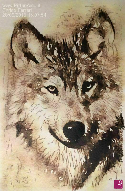 quadri in vendita online - The Wolf