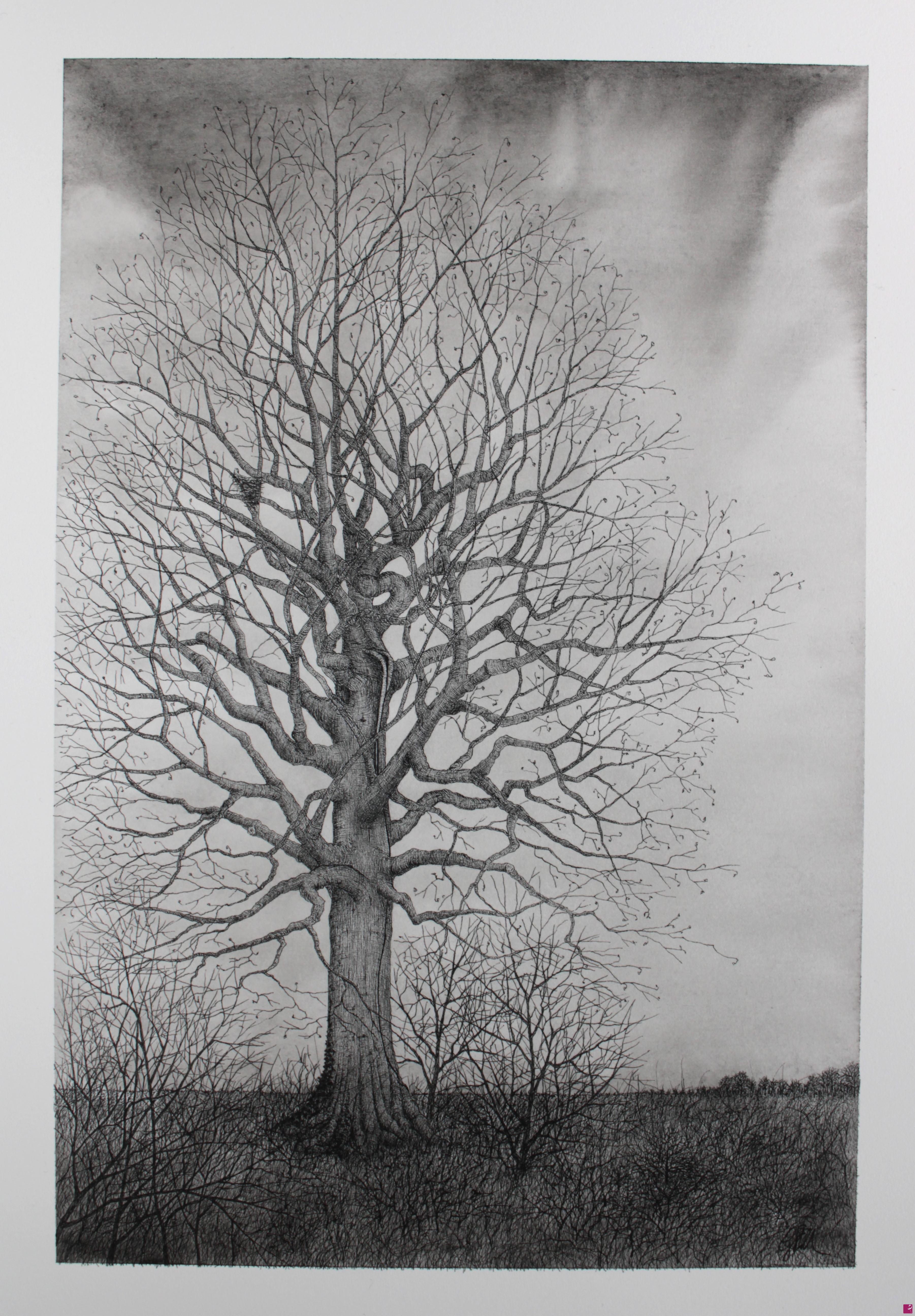 quadri in vendita online - The wounded tree
