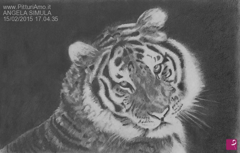 quadri in vendita online - tiger