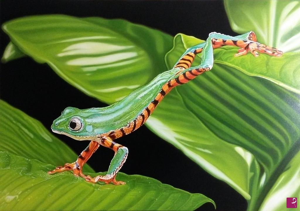 quadri in vendita online - "TIGER FROG"