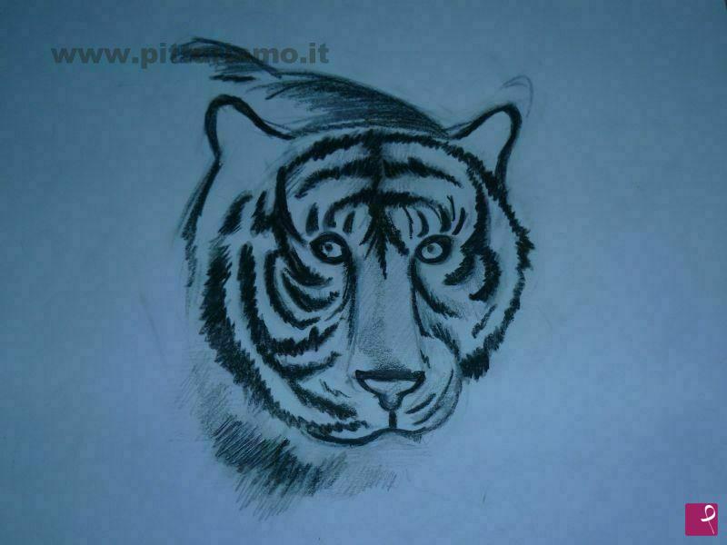 quadri in vendita online - tigre
