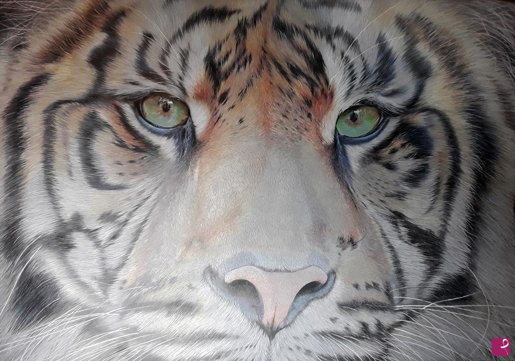 quadri in vendita online - Tigre