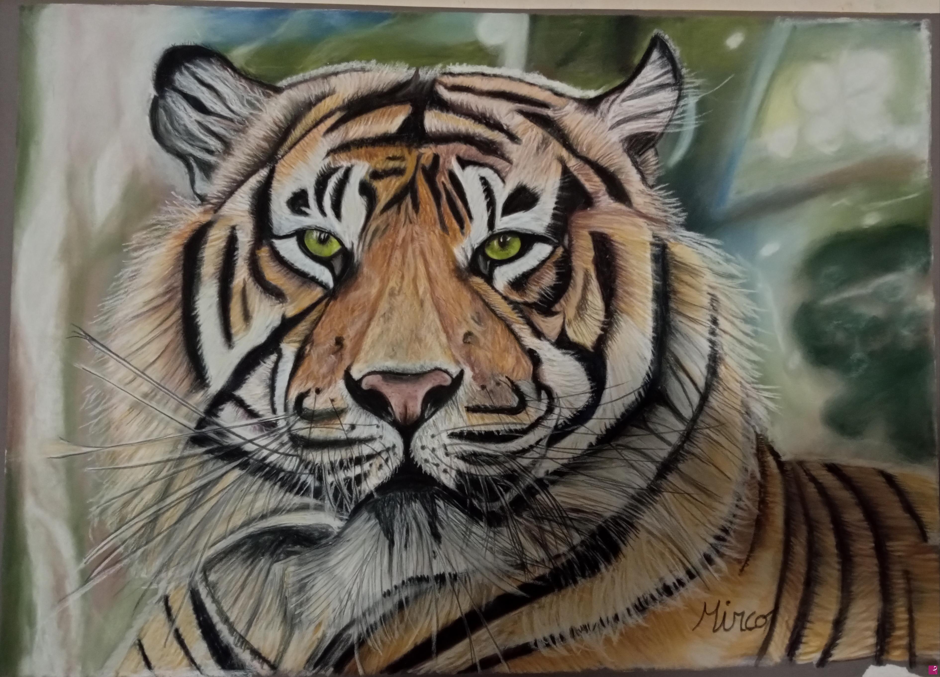quadri in vendita online - Tigre