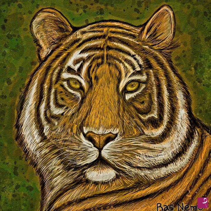 quadri in vendita online - TIGRE
