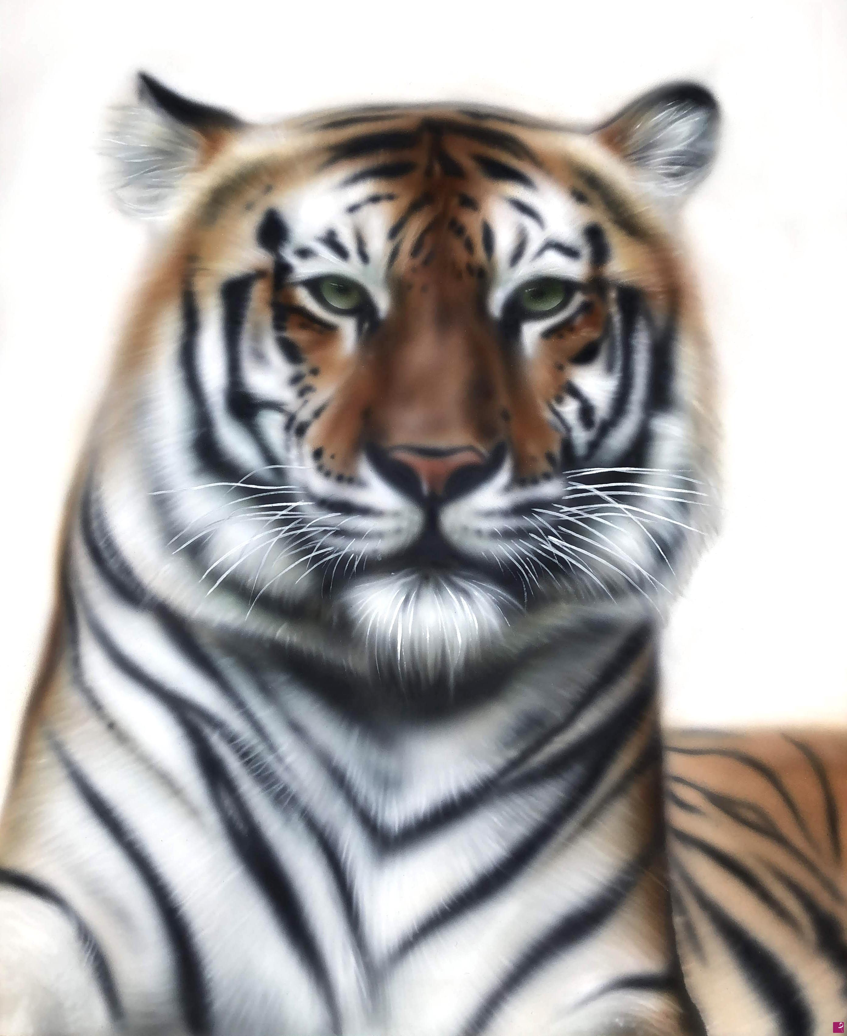 quadri in vendita online - Tigre