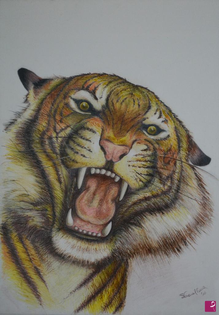 quadri in vendita online - Tigre