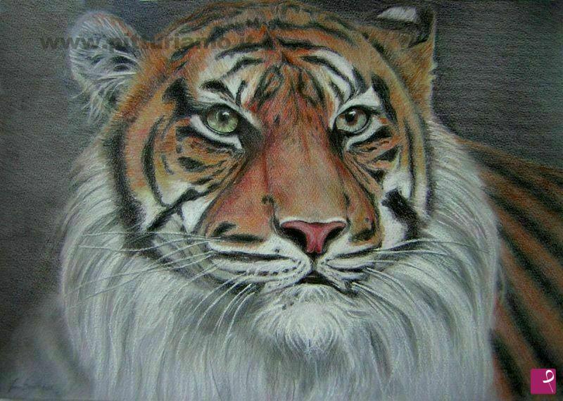 quadri in vendita online - Tigre Siberiana (2012)