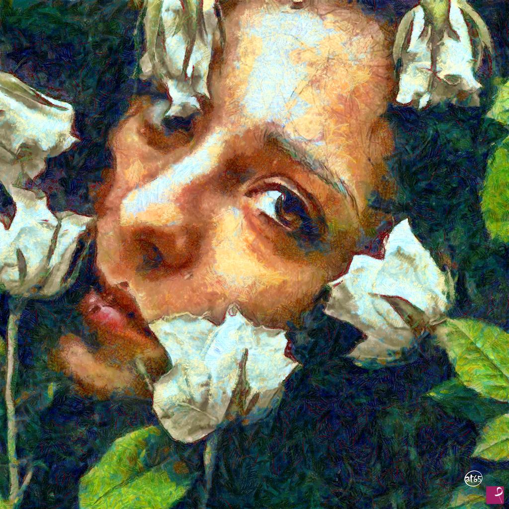 quadri in vendita online - Tra le rose