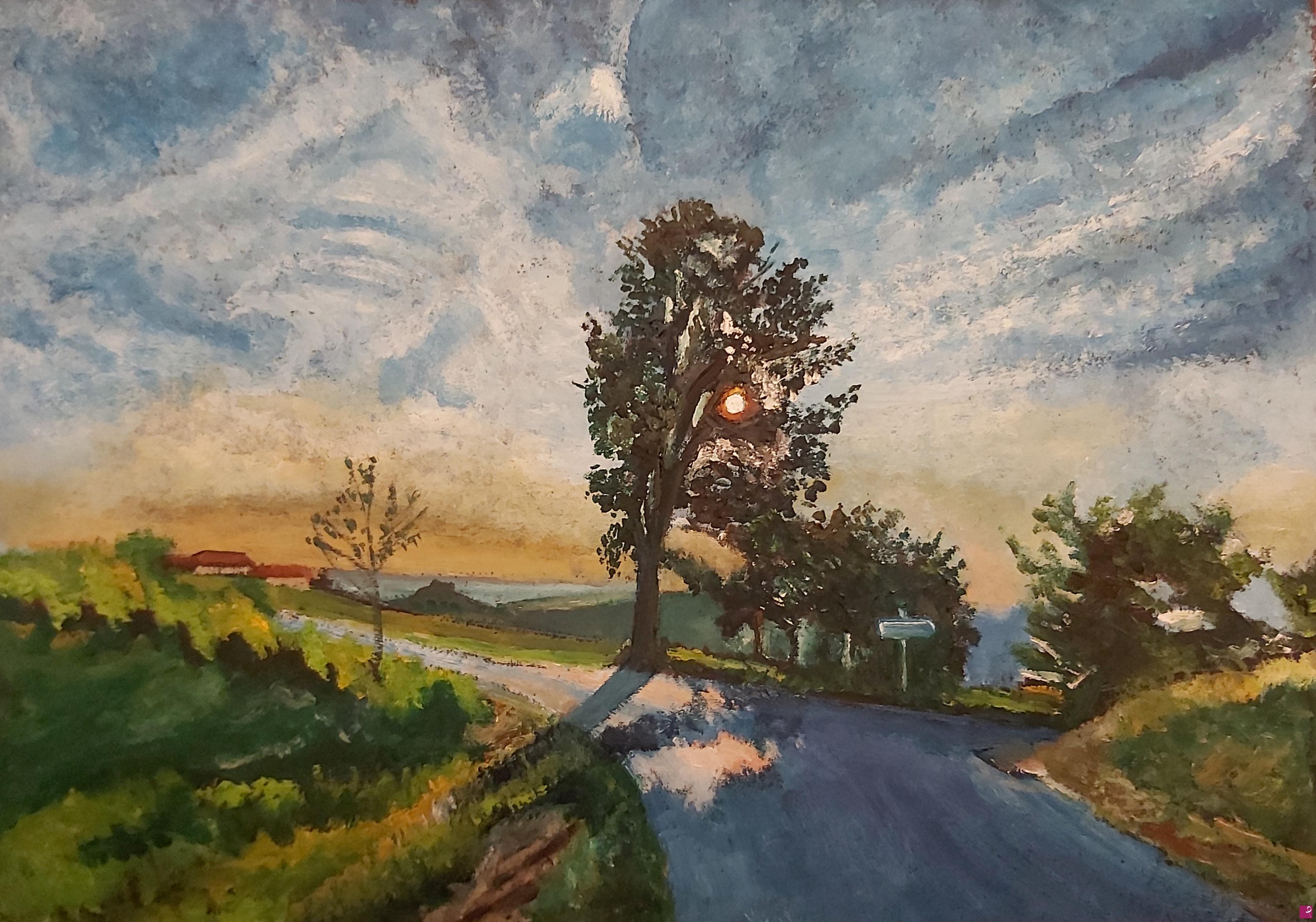 quadri in vendita online - Tramonto borgata Boschetto