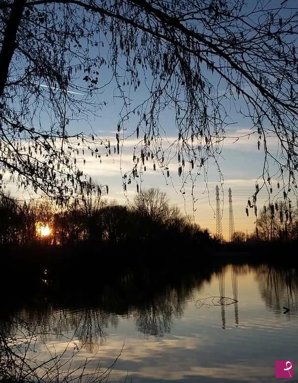 quadri in vendita online - Tramonto con riflessi 