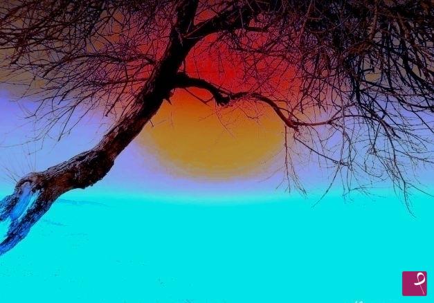 quadri in vendita online - TRAMONTO DI CALABRIA