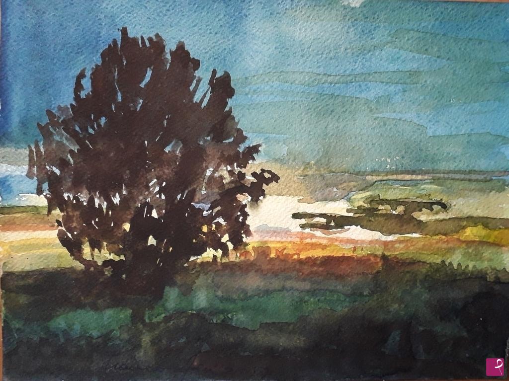 quadri in vendita online - Tramonto in maremma