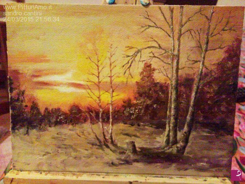 quadri in vendita online - tramonto nel bosco