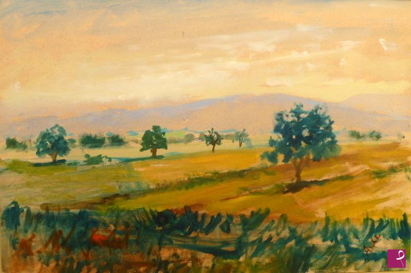 quadri in vendita online - tramonto sui campi