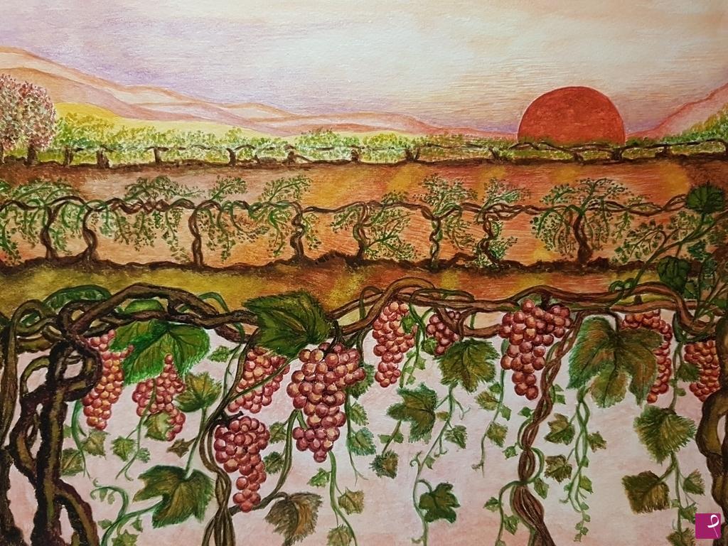 quadri in vendita online - Tramonto sul vigneto