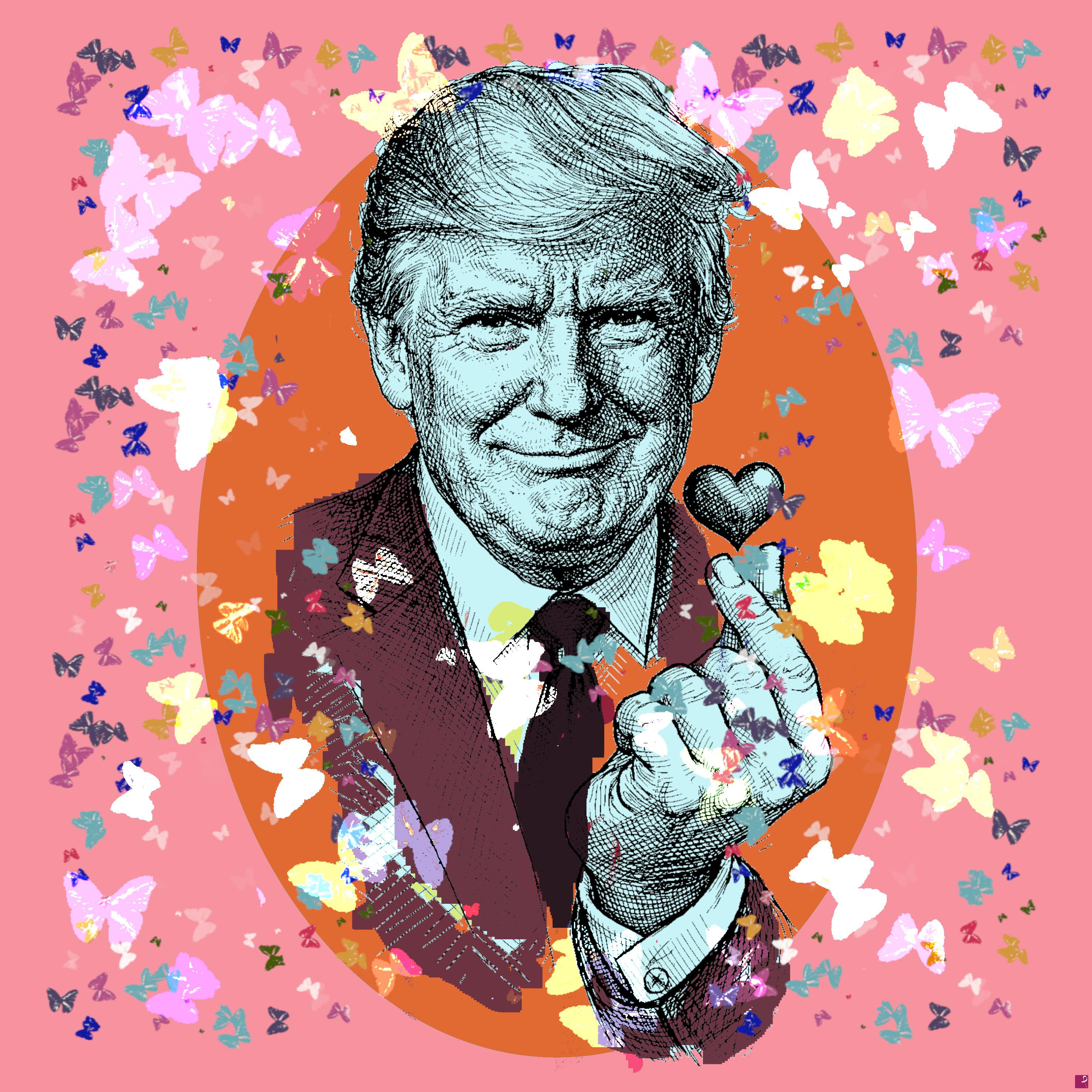 quadri in vendita online - Trump Butterfly effect