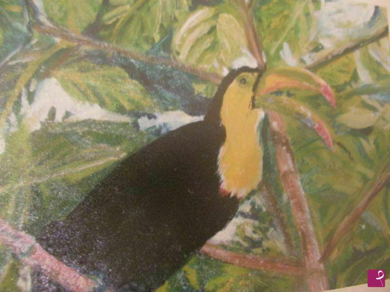 quadri in vendita online - tucano