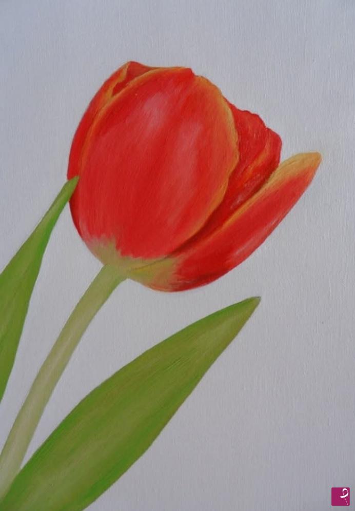 quadri in vendita online - "Tulipano" - Olio su tela 