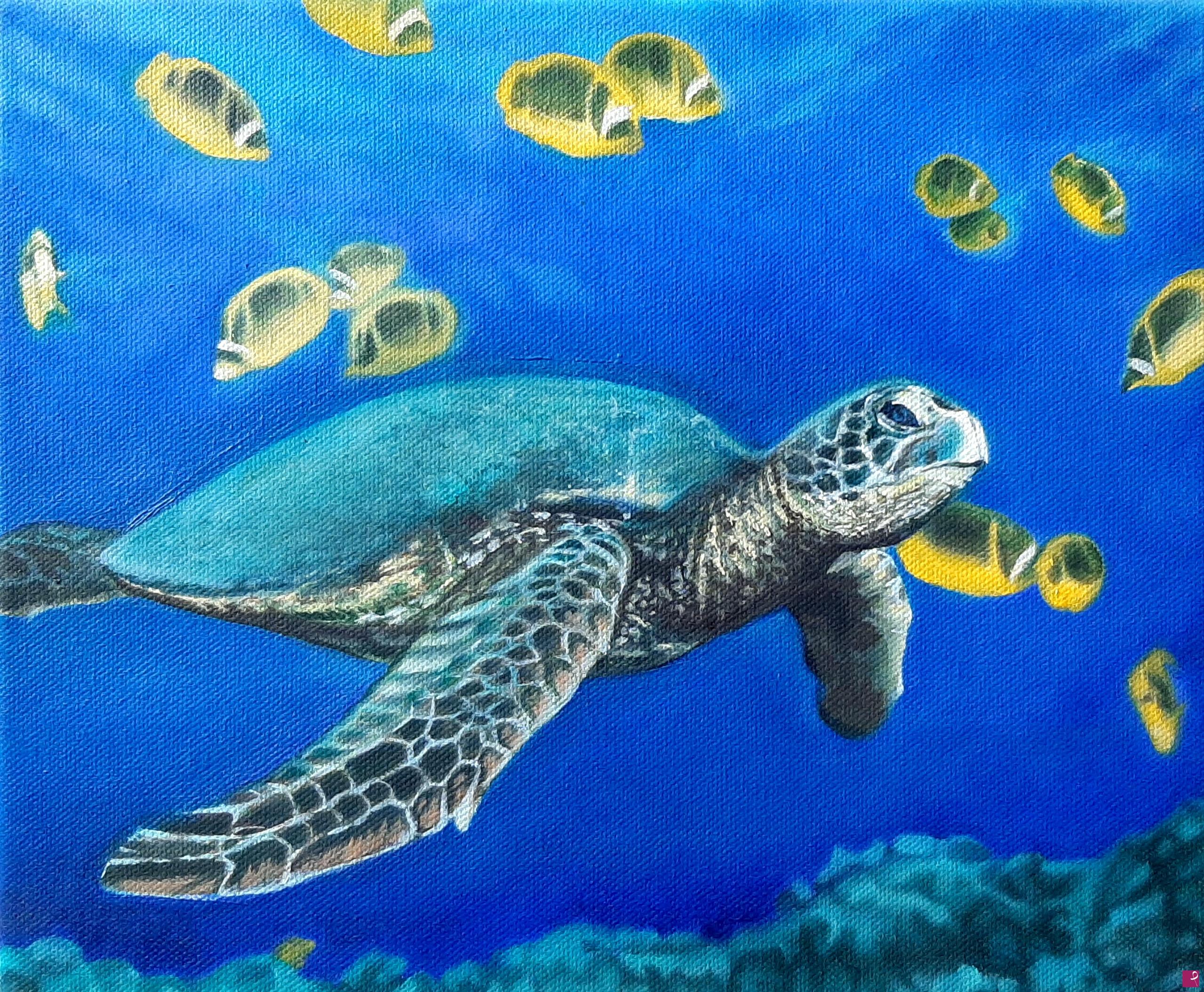 quadri in vendita online - "Turtle"