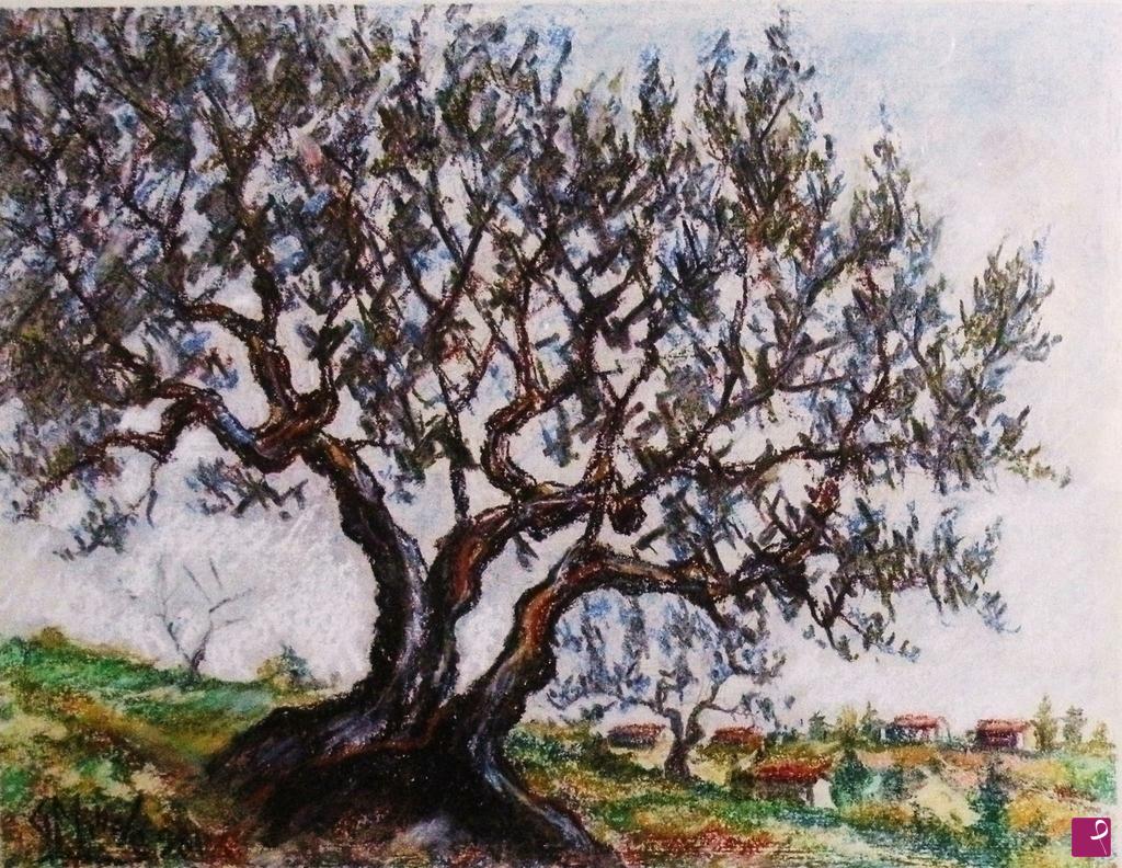 quadri in vendita online - ULIVO D'ABRUZZO 