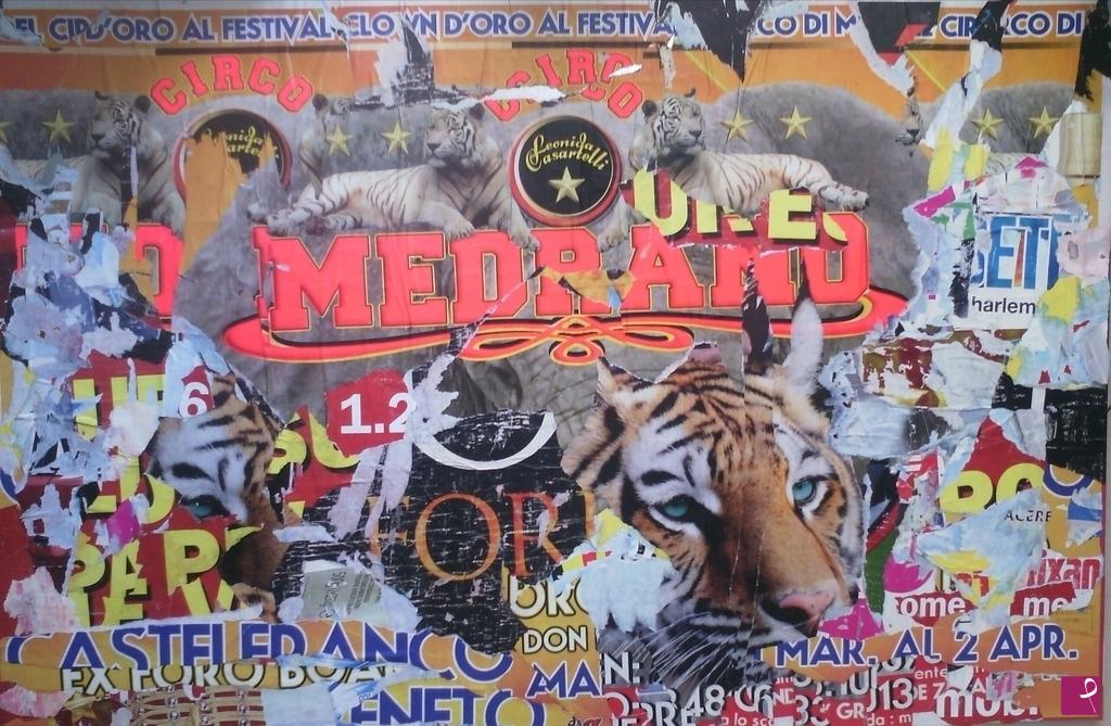 quadri in vendita online - Ultimo circo