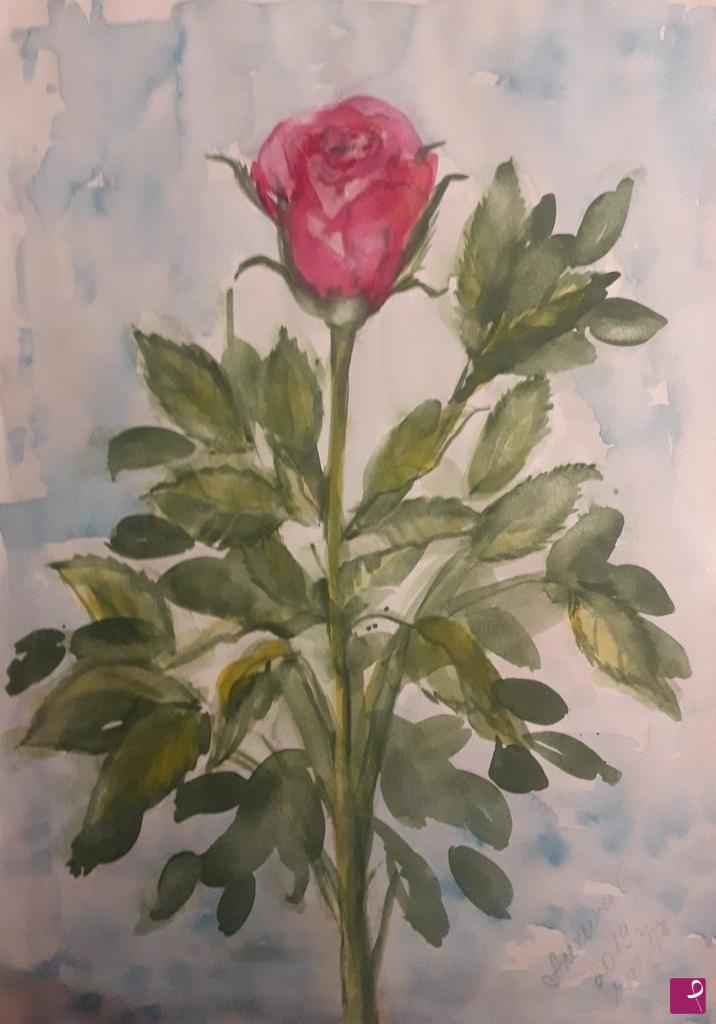 quadri in vendita online - Una rosa