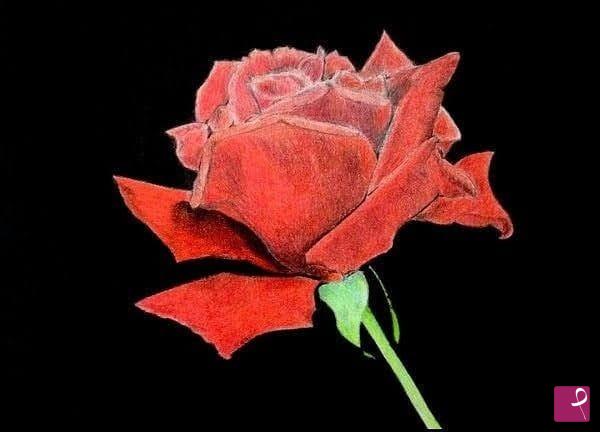 quadri in vendita online - UNA ROSA ARANCIONE 