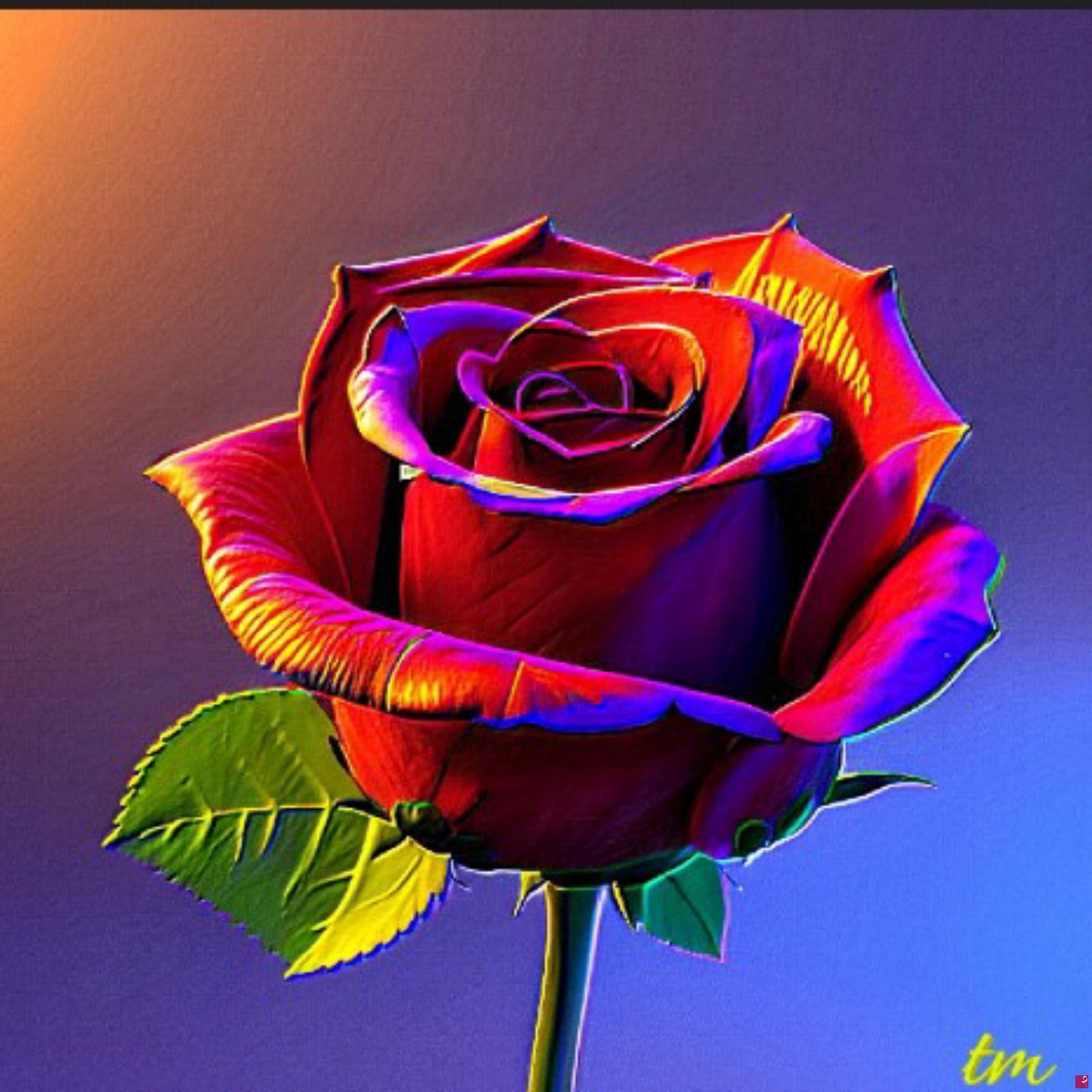quadri in vendita online - Una rosa per te
