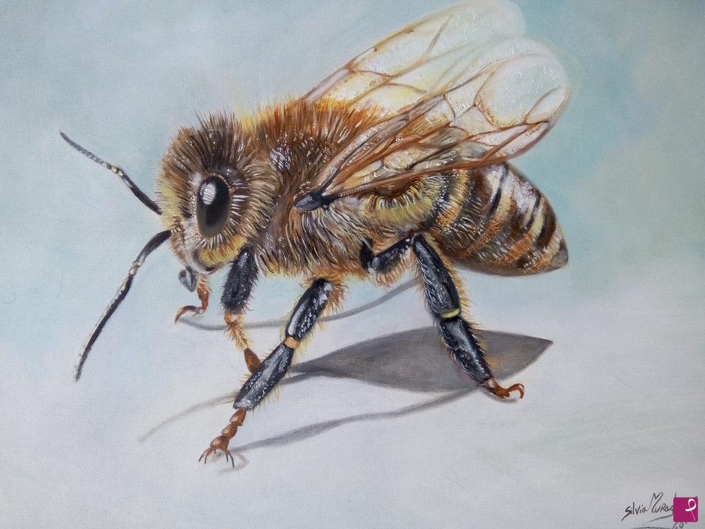 quadri in vendita online - Un'ape ( Bee a survivor)
