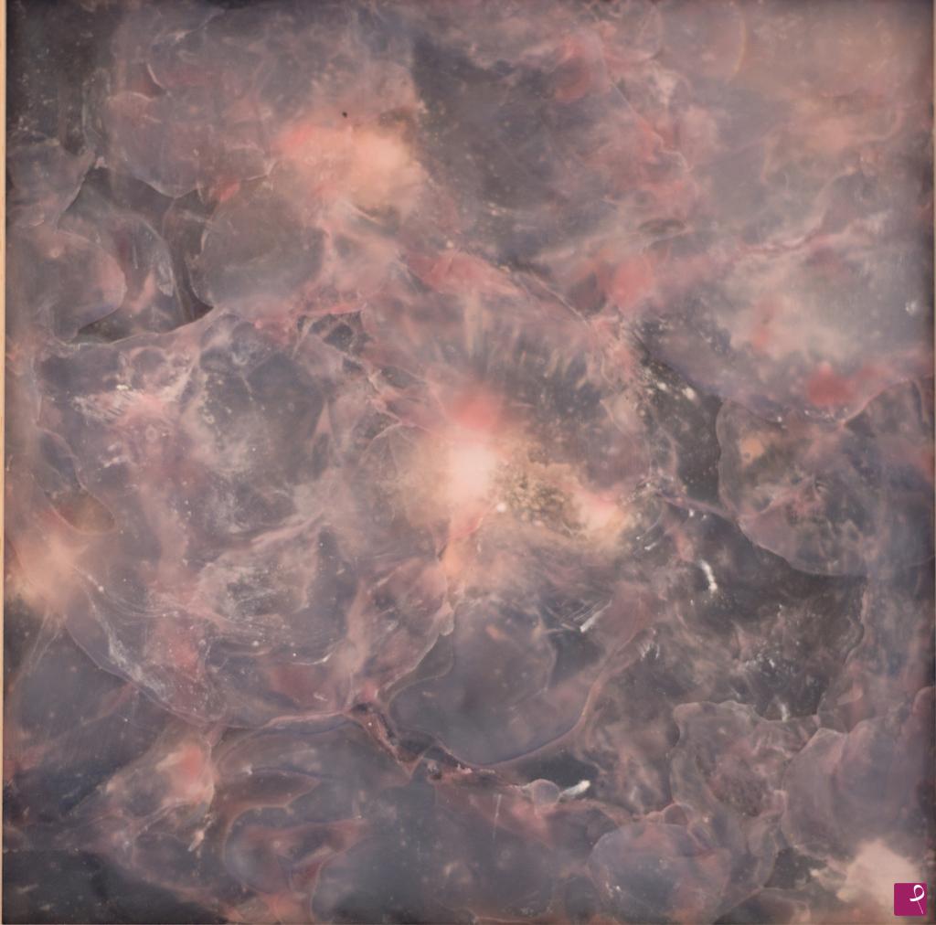 quadri in vendita online - Universe