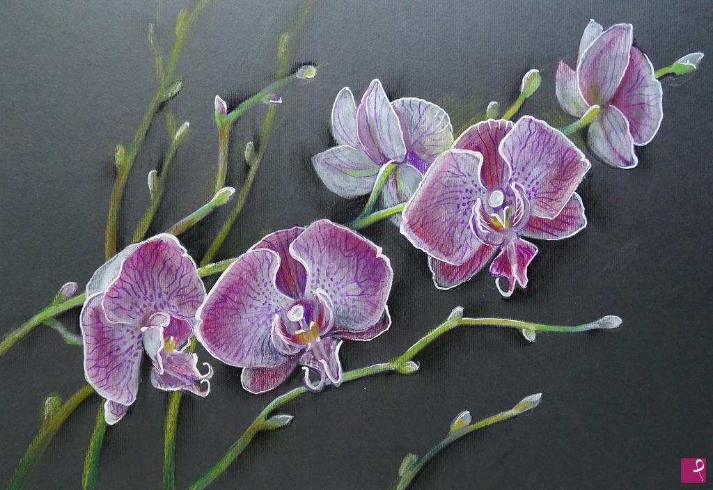 quadri in vendita online - un'orchidea