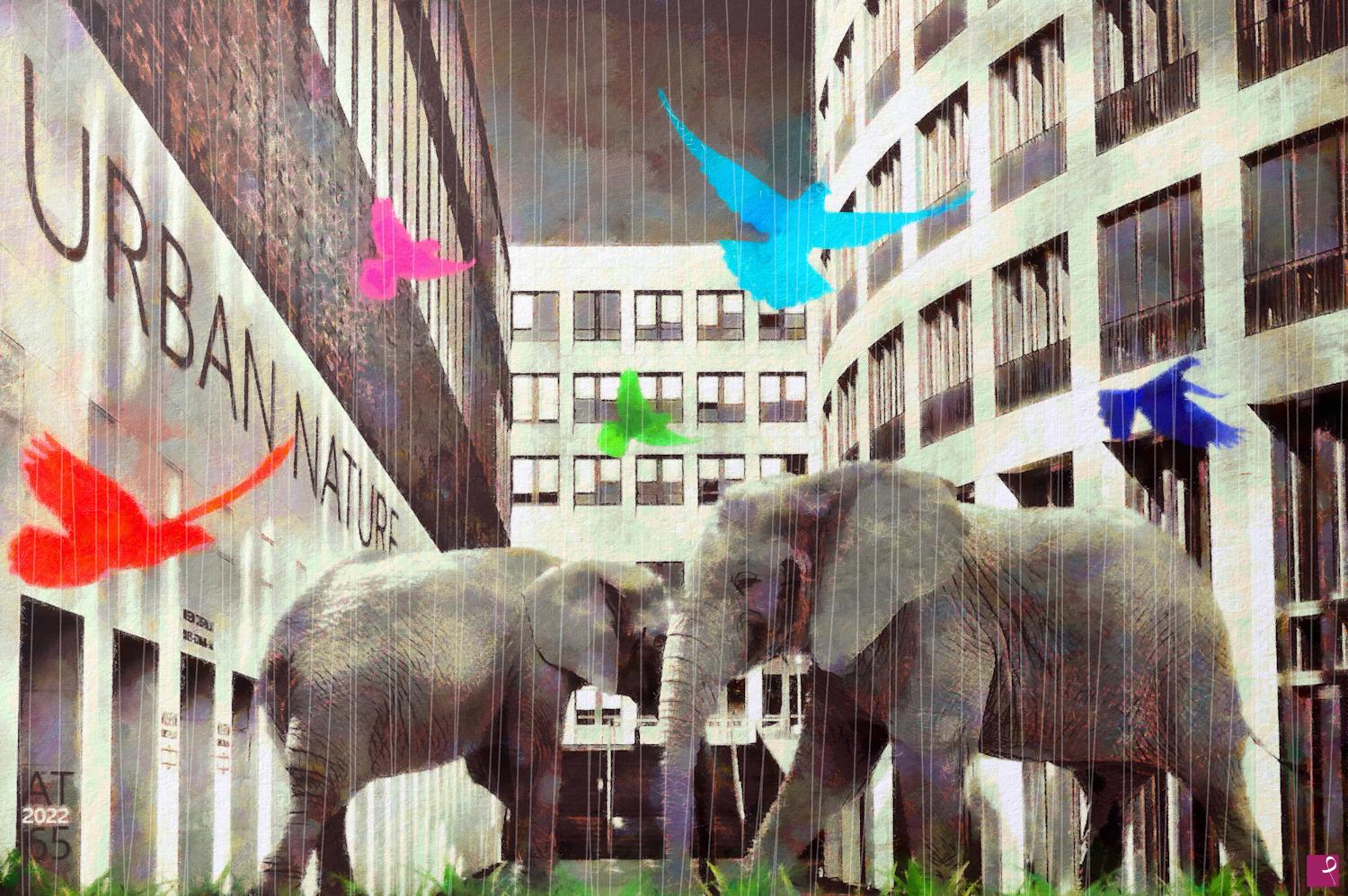 quadri in vendita online - Urban nature