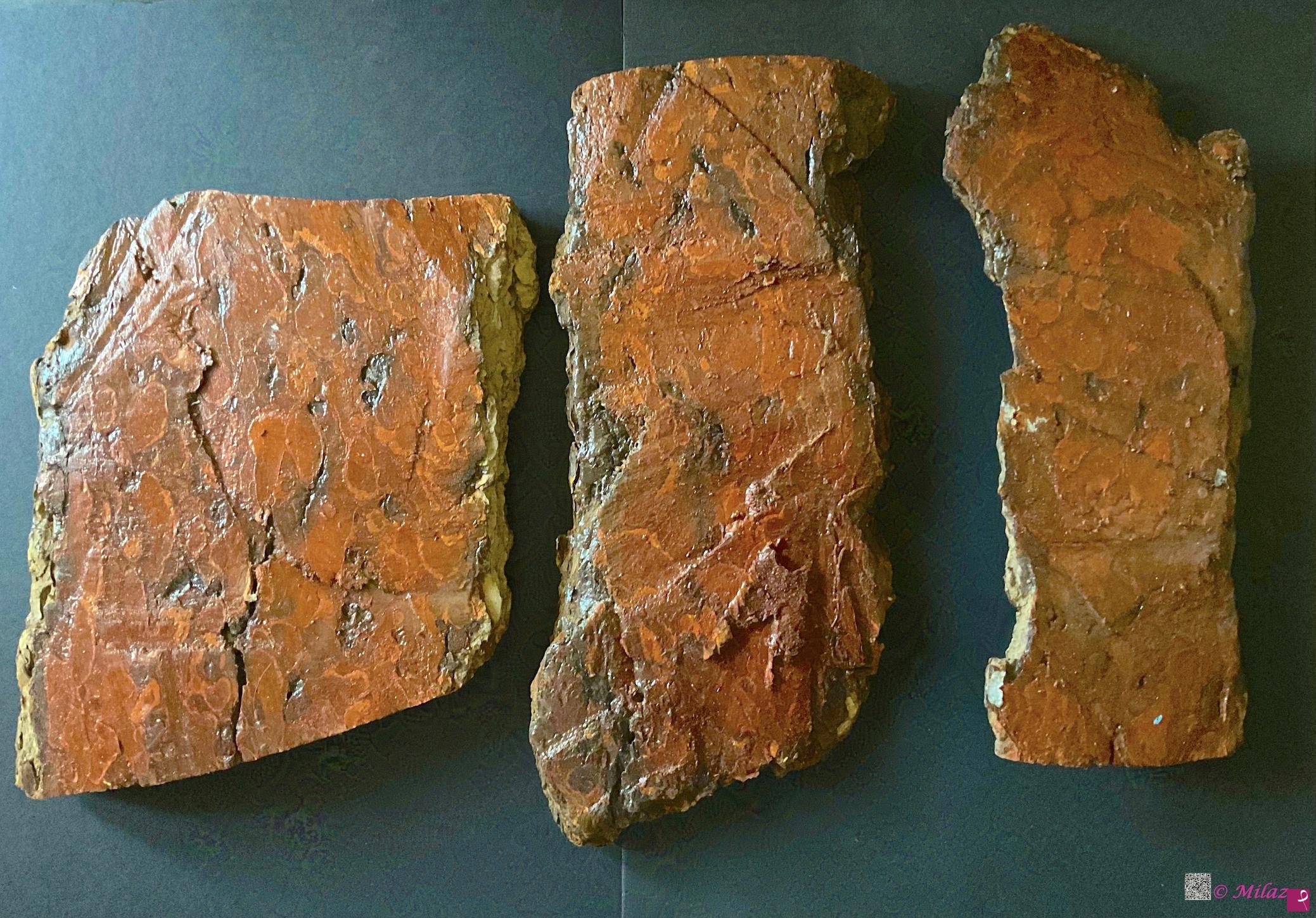 quadri in vendita online - Vaia (natural texture - consistenza trama naturale)
