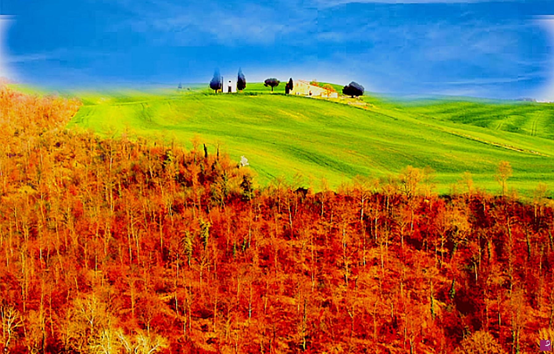 quadri in vendita online - Val d'Orcia 