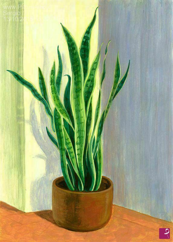 quadri in vendita online - vaso di fiori