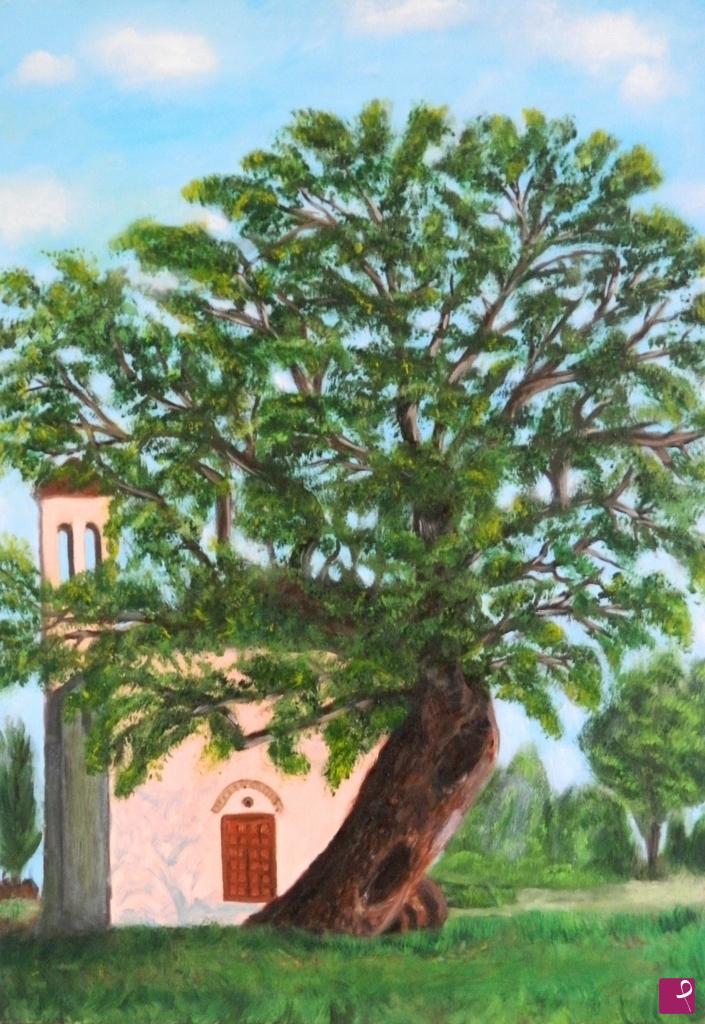 quadri in vendita online - Vecchia quercia